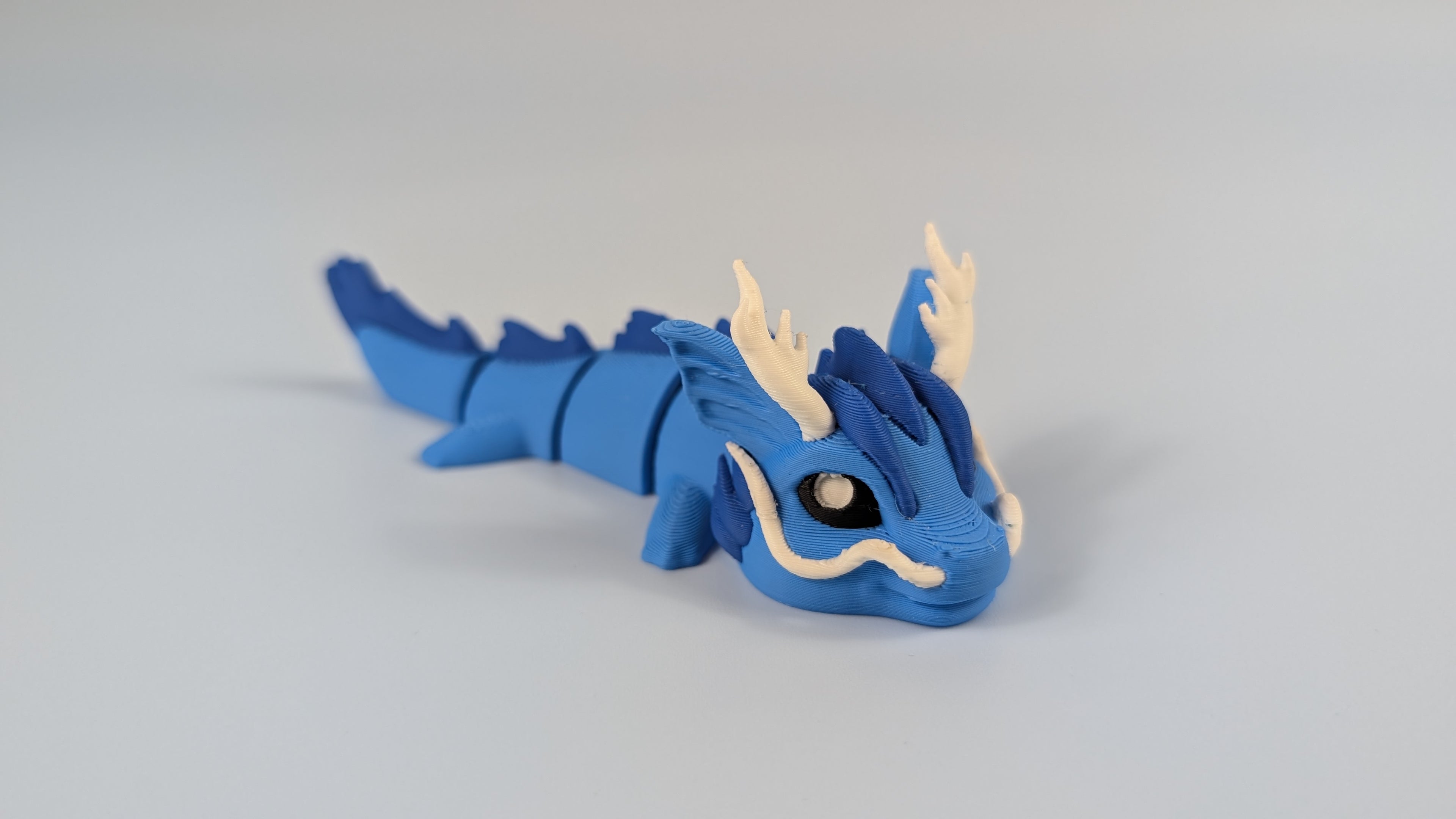 Sea Dragon
