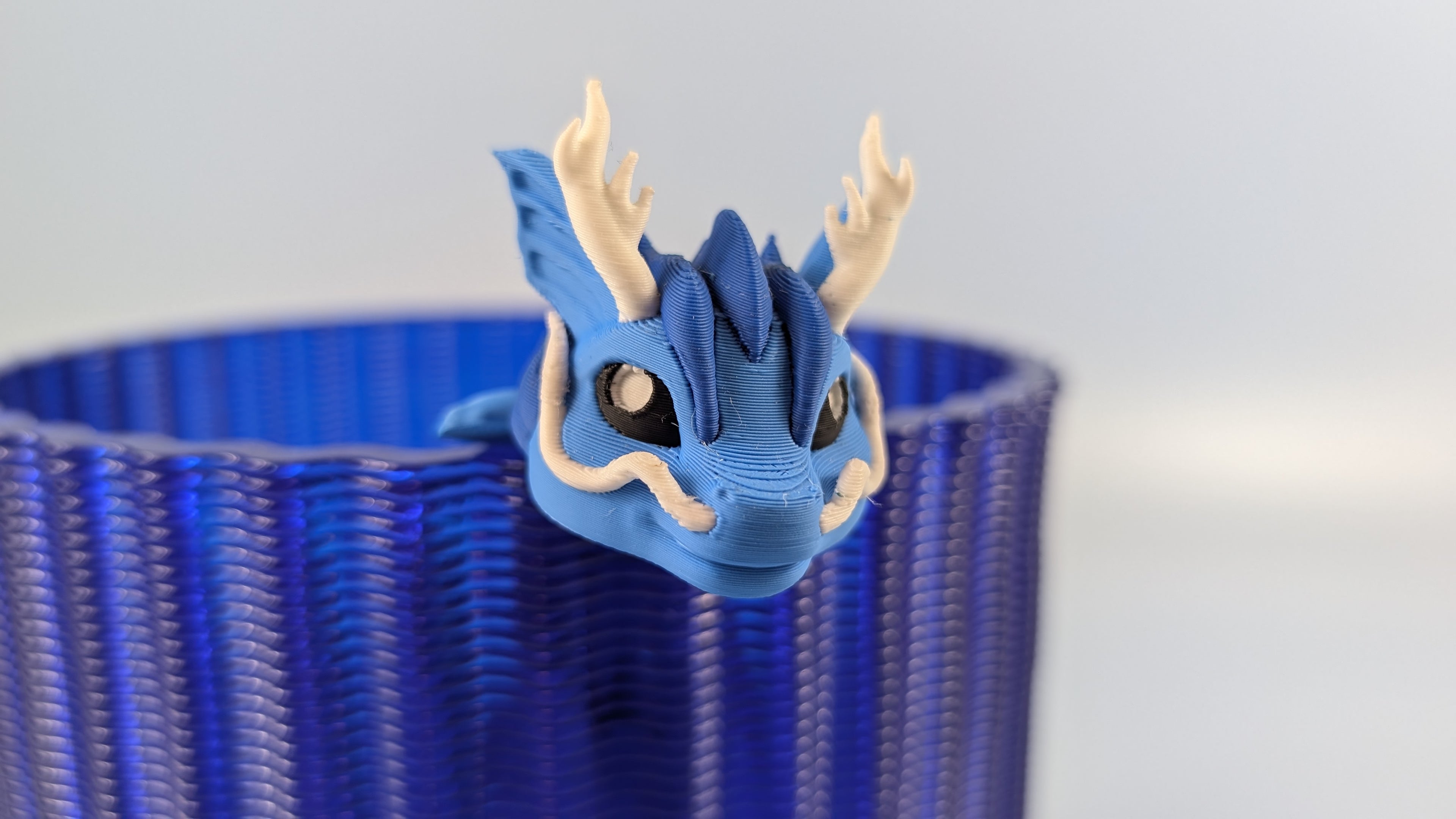 Sea Dragon