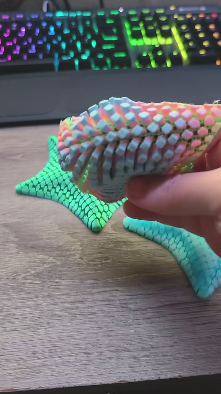 Flexi Starfish Fidget