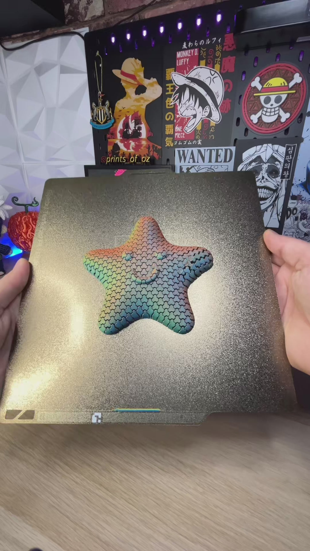 Flexi Starfish Fidget