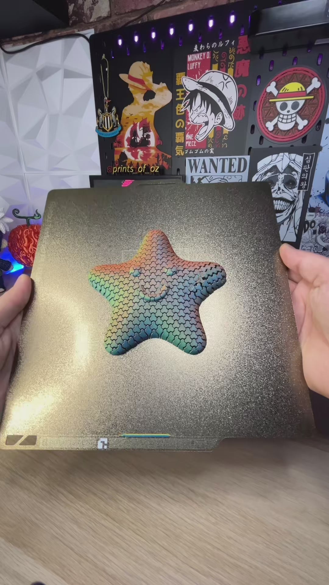Flexi Starfish Fidget